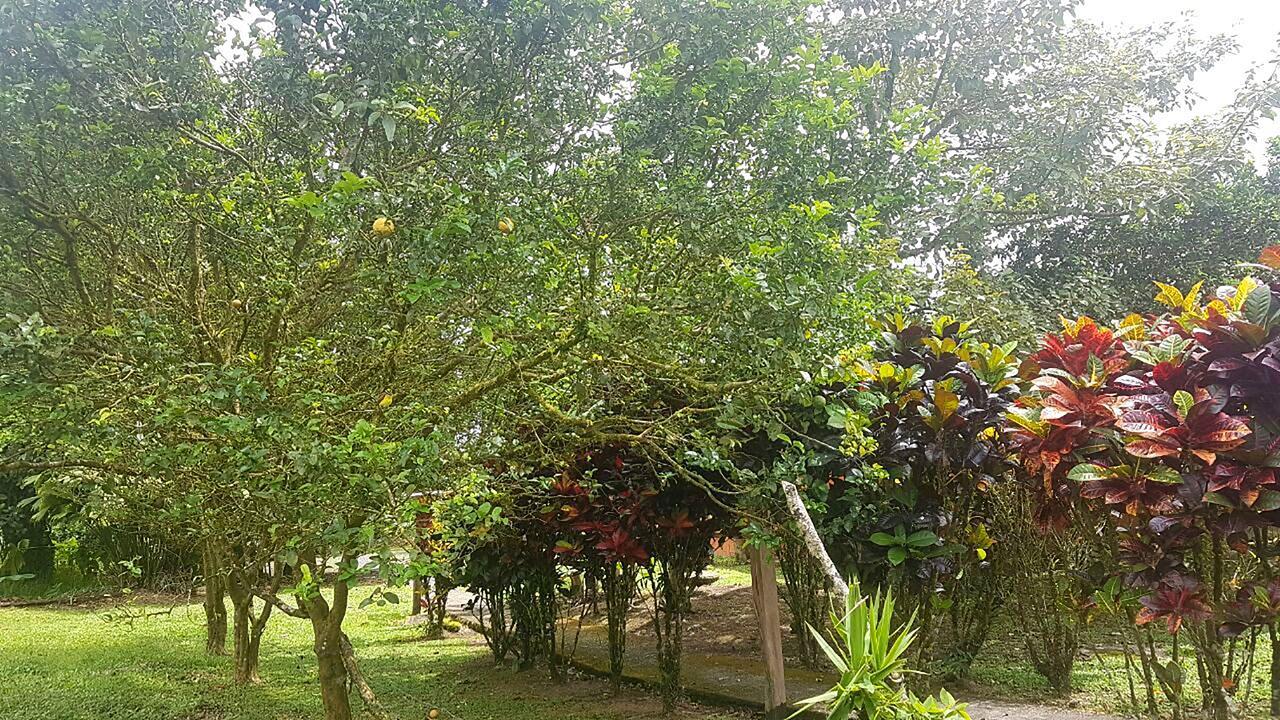 Tio Felix Eco Lodge La Fortuna Exterior foto
