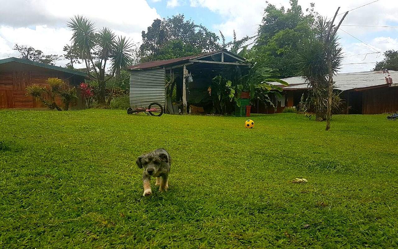 Tio Felix Eco Lodge La Fortuna Exterior foto