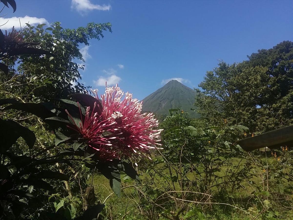 Tio Felix Eco Lodge La Fortuna Exterior foto