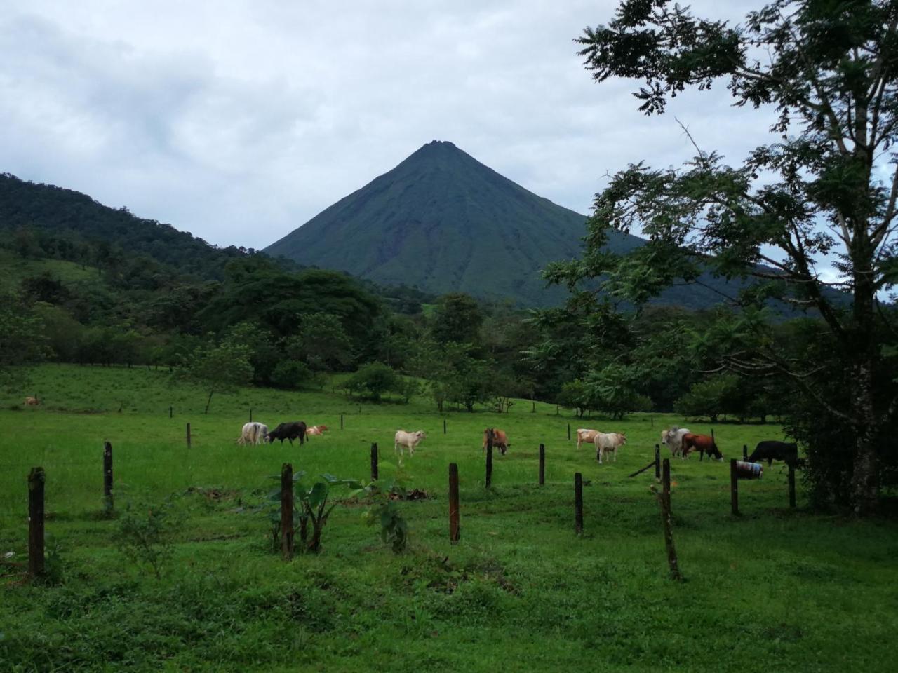 Tio Felix Eco Lodge La Fortuna Exterior foto