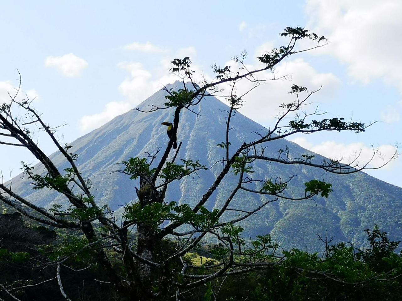 Tio Felix Eco Lodge La Fortuna Exterior foto